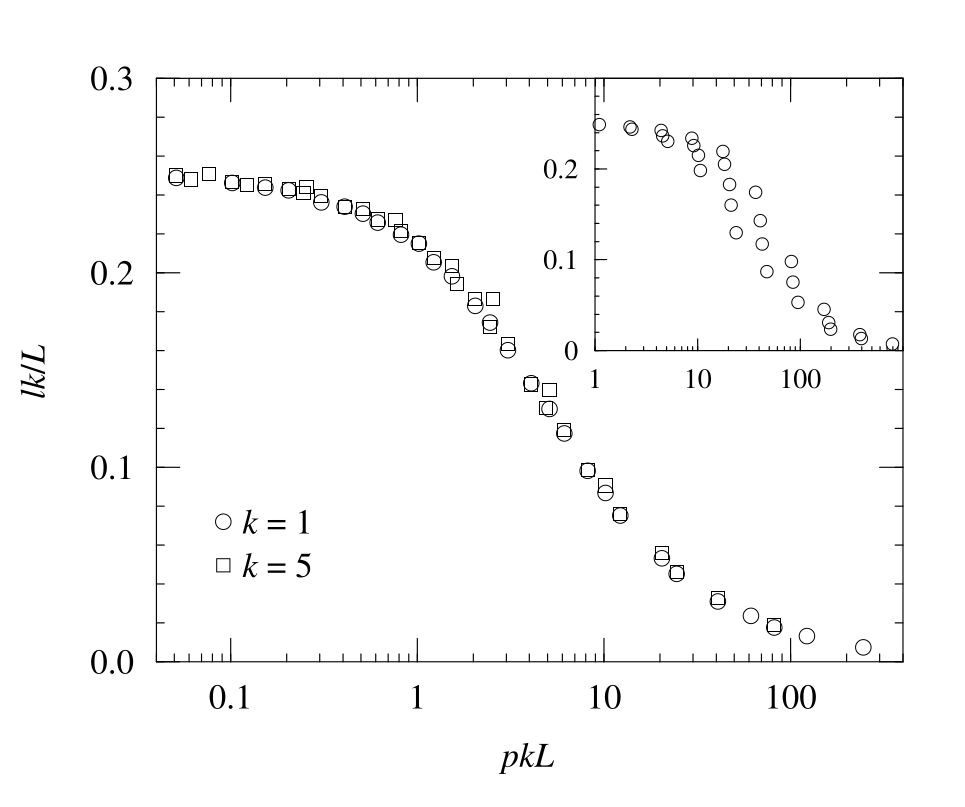 Numerical experiemnt on the scaling behavior